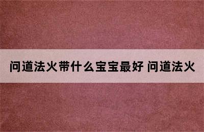 问道法火带什么宝宝最好 问道法火